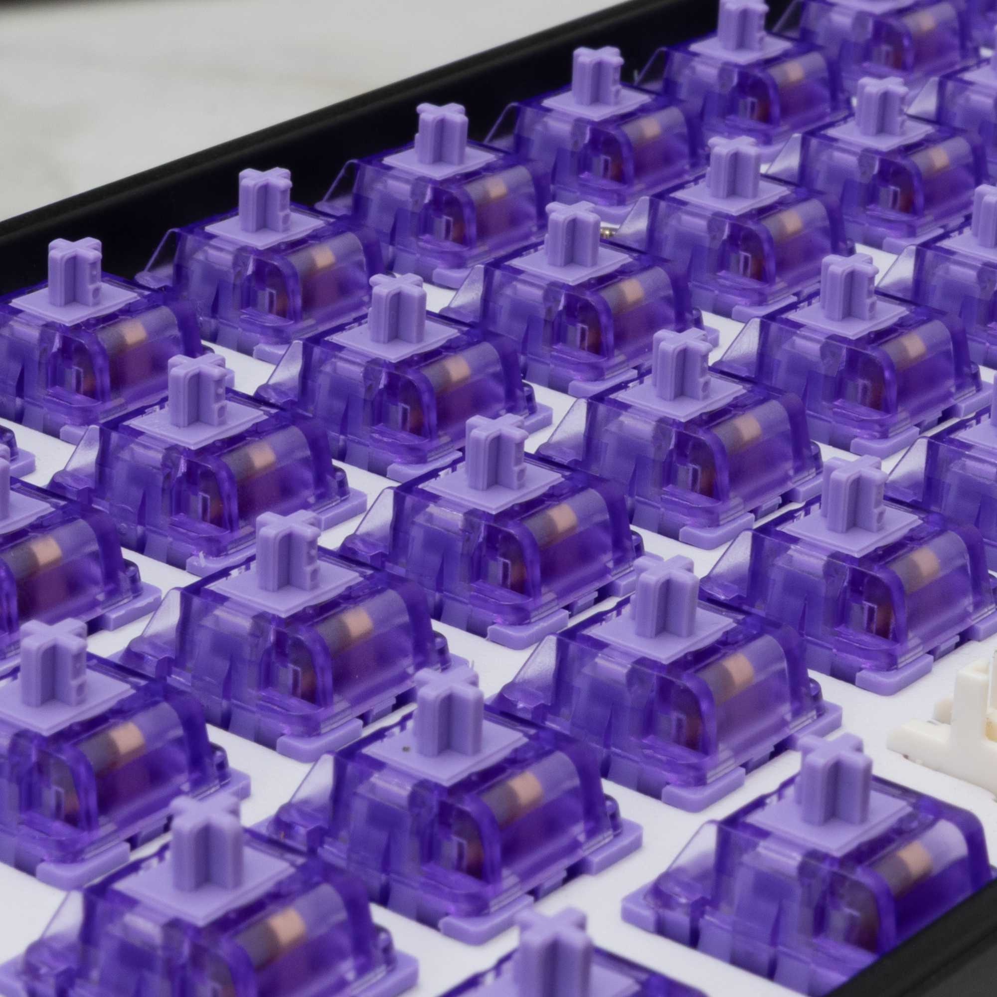 Mehanički prekidači za tipkovnicu WHITE SHARK PURPLEPULSE - 25 KOM-1
