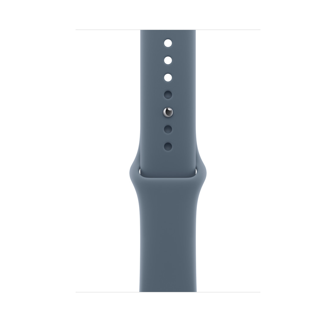 Traka APPLE Apple Watch 46mm Band (M/L)