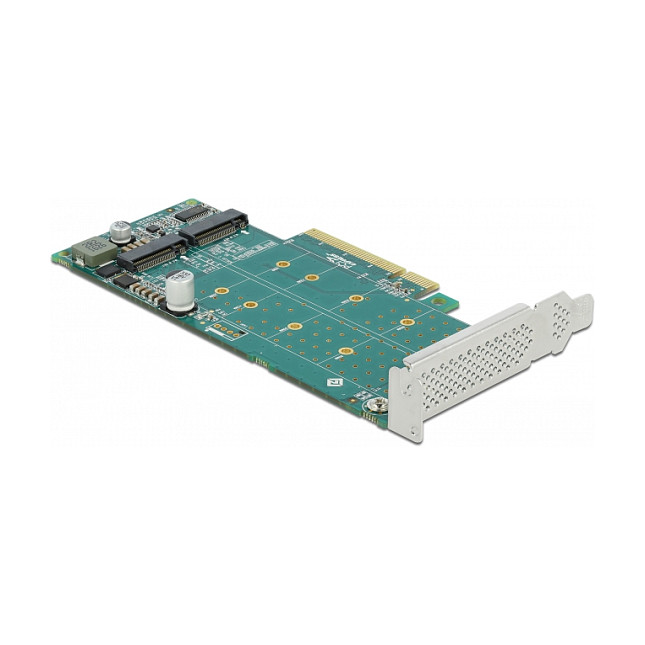 PCI Express kartica DELOCK 89045 (PCIe x8 na 2x NVMe M.2, Bifurcation, Low Profile)-1