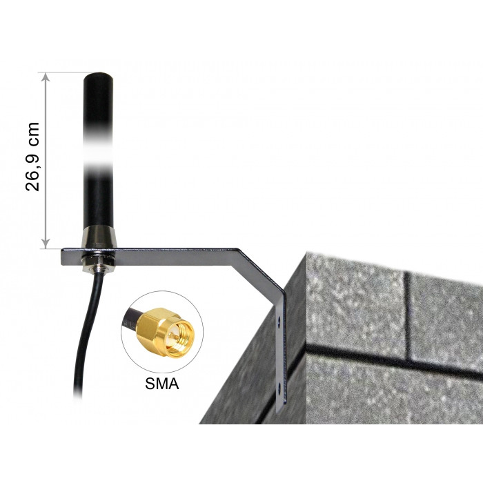 Antenna DELOCK 89529 radio 3 dB 50 Ω-3