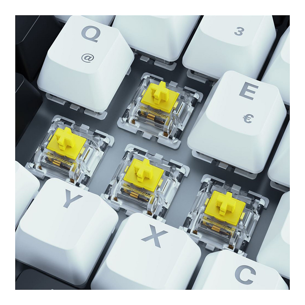 Tipkovnica SHARKOON SKILLER SGK50 S3 (USB, QWERTZ, njemačka) – internacionalna non HR tipkovnica-2