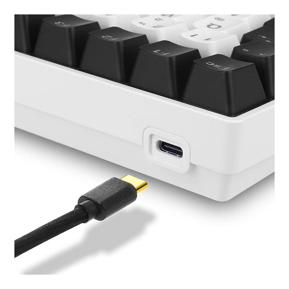 Tipkovnica SHARKOON SKILLER SGK50 S3 (USB, QWERTZ, njemačka) – internacionalna non HR tipkovnica-6