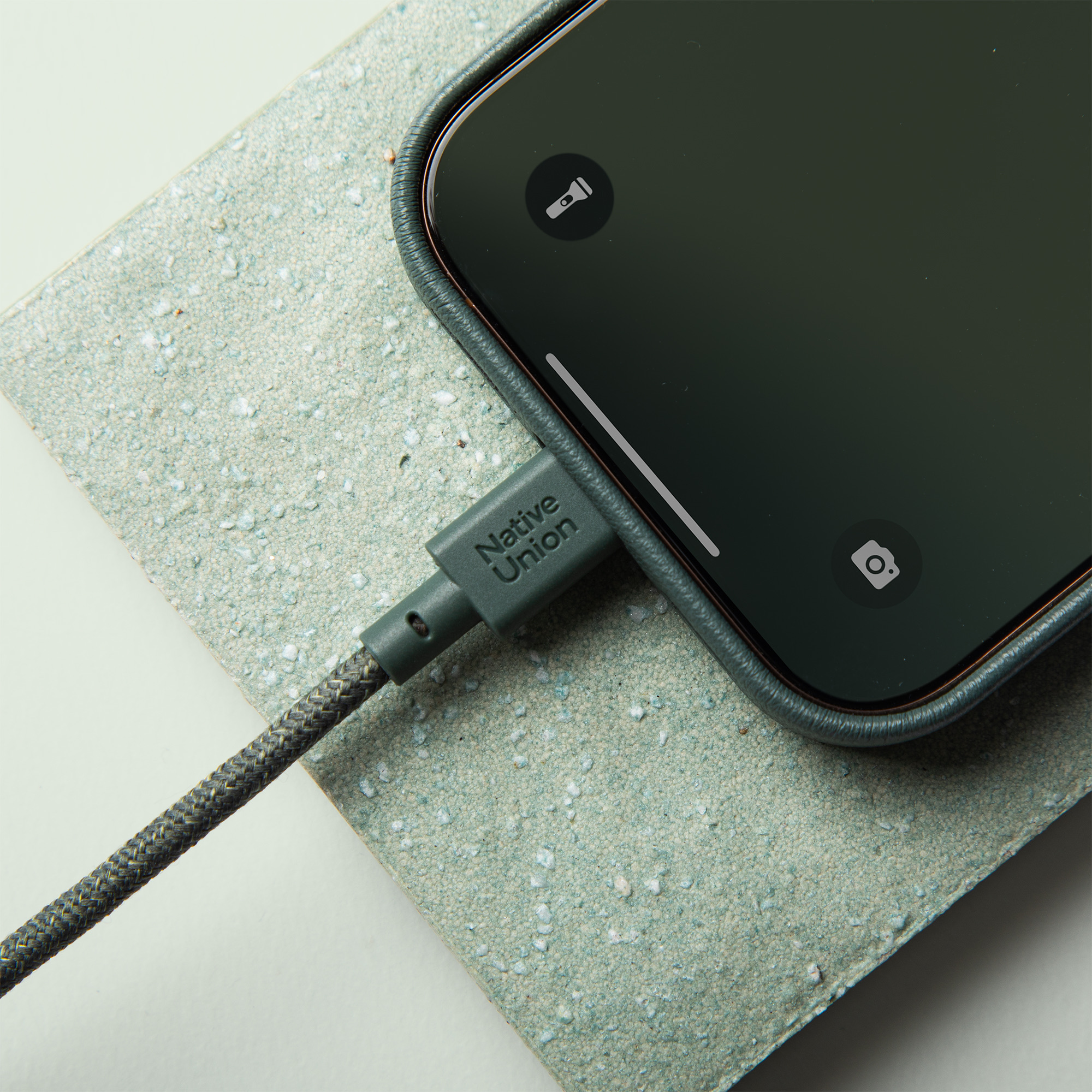 Native Union Belt Cable (USB-C to USB-C)-1