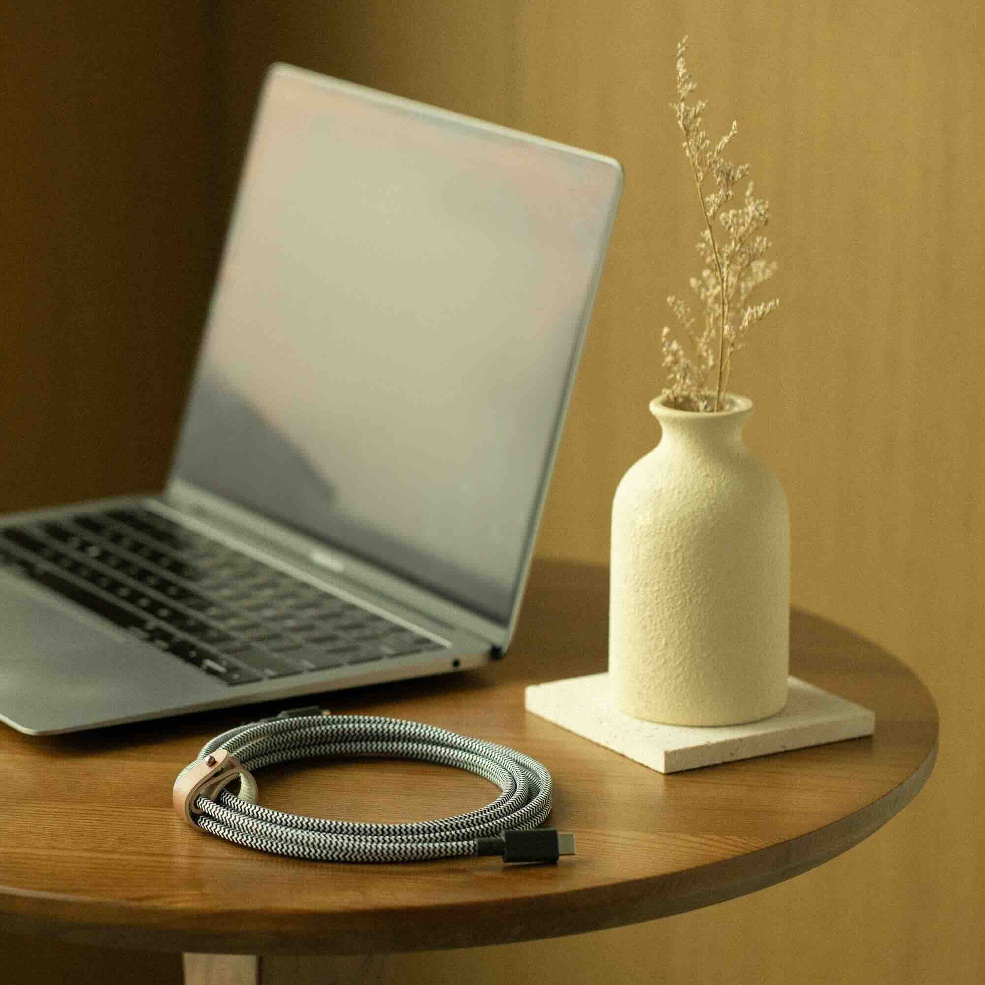 Native Union Belt Cable XL 100W - USB-C to USB-C Cable, 3 m (Zebra)-1