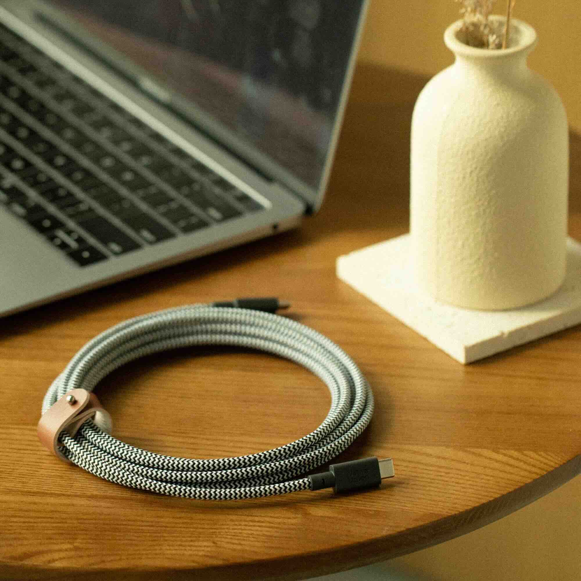 Native Union Belt Cable XL 100W - USB-C to USB-C Cable, 3 m (Zebra)-3