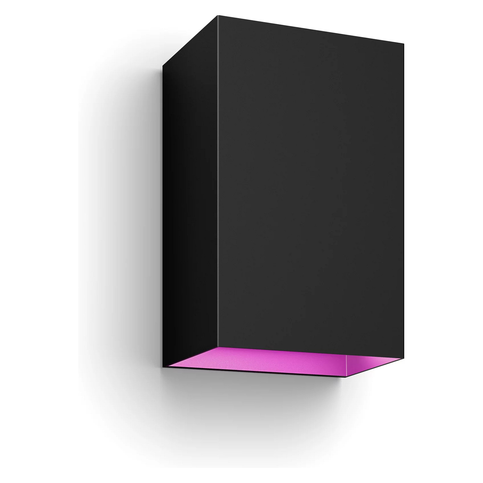 Vanjska zidna svjetiljka PHILIPS Hue Resonate (Inox)-0
