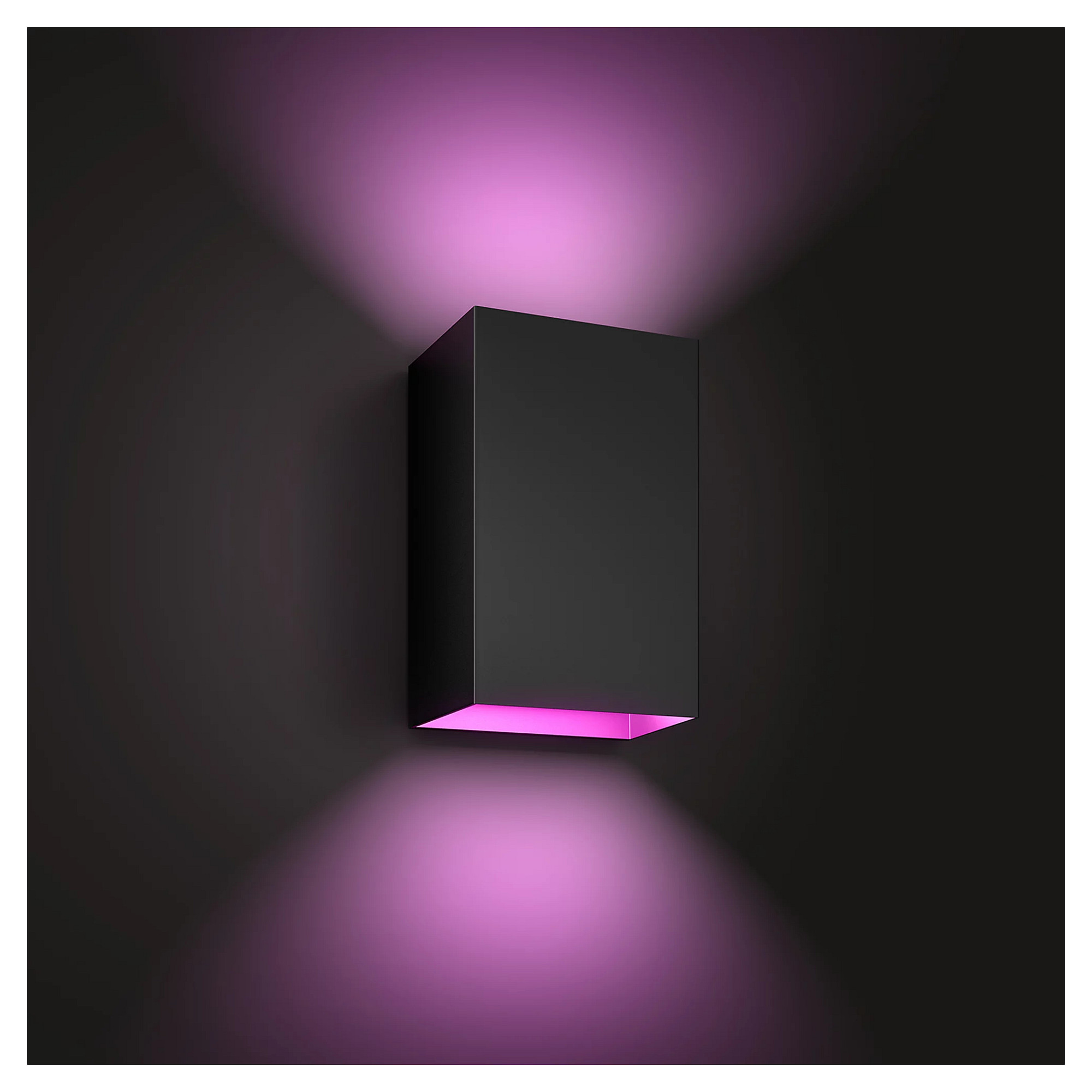 Vanjska zidna svjetiljka PHILIPS Hue Resonate (Inox)-1