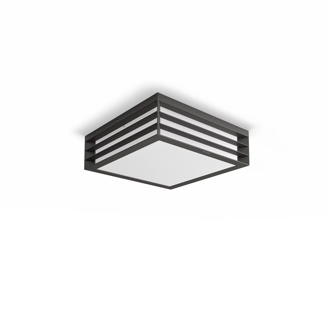 Stropna lampa PHILIPS myGarden Moonshine 28W E27 bez žarulje-1