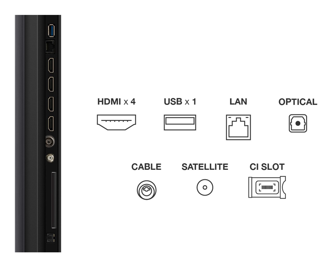 TV TCL QD-Mini LED 85Q6C Google TV (216 cm, 4K Ultra HD, HDR10+, Dolby Vision, ONKYO 2.1, Smart TV)-8