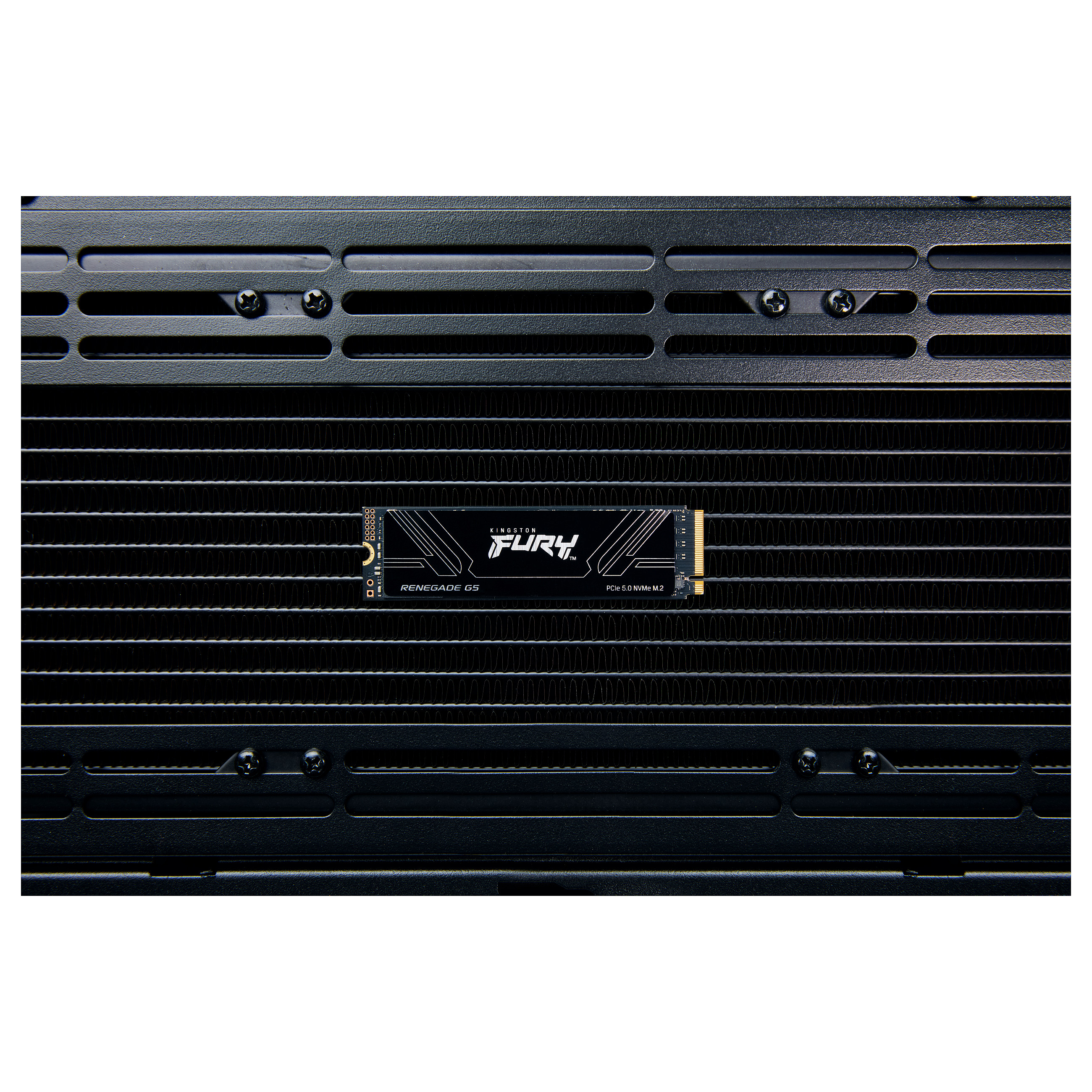 SSD KINGSTON FURY Renegade SFYR2D/8T1 (8tb, m.2, pcie 5.0, nvme)-14