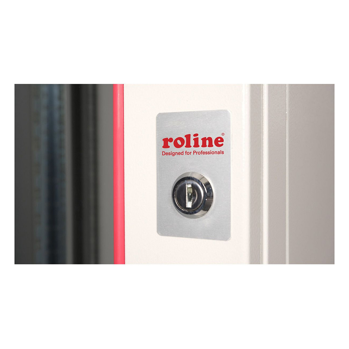 Roline 19" 12U 600×600×640 Pro zidni ormar, sivi-3