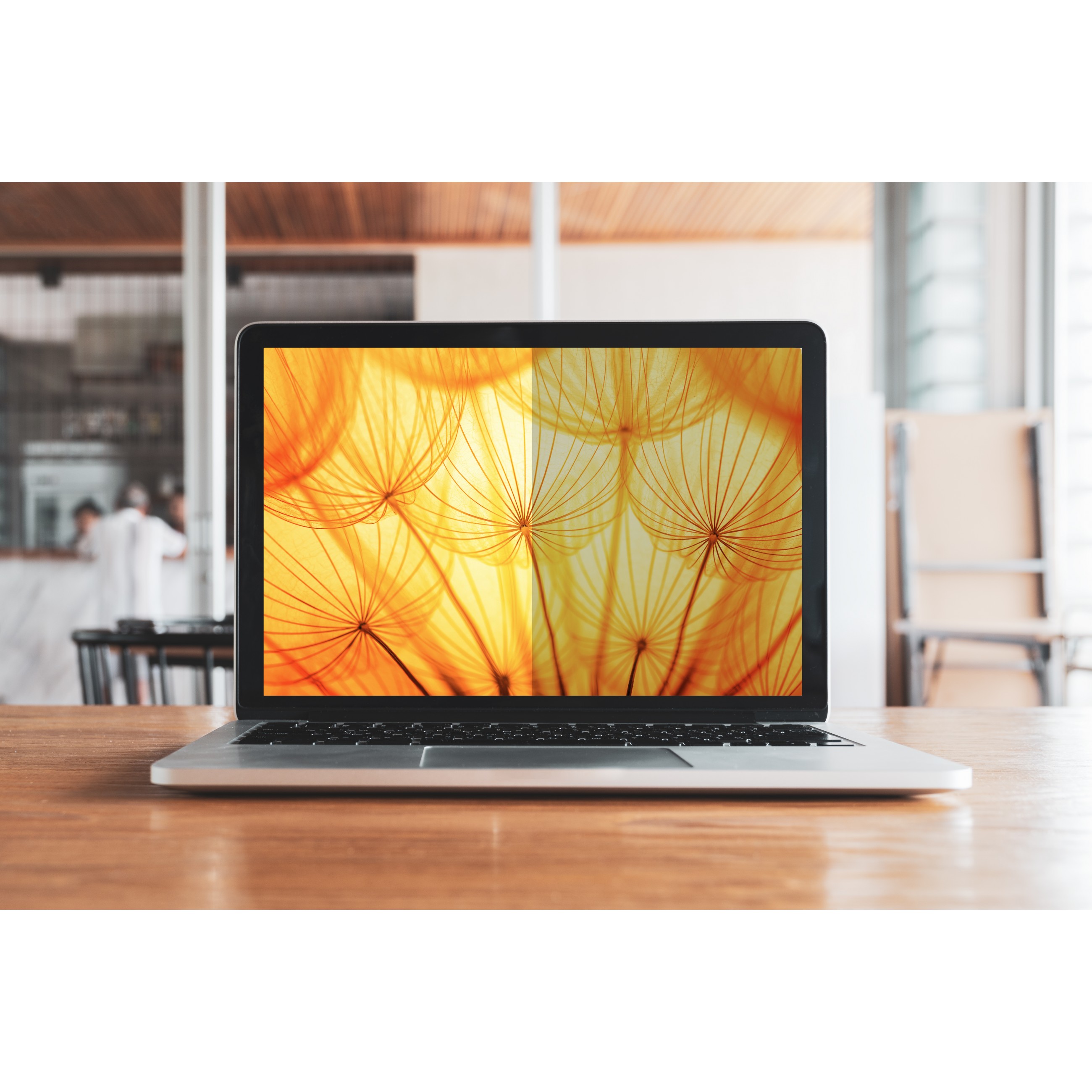 Laptop 3M Bright Screen Privacy Filter za 13.3in Full Screen Laptop, 169, BP133W9E-4
