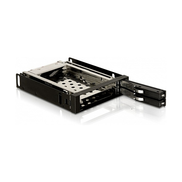 Adapter za spremište DeLOCK - 2x 2.5” SATA HDD
