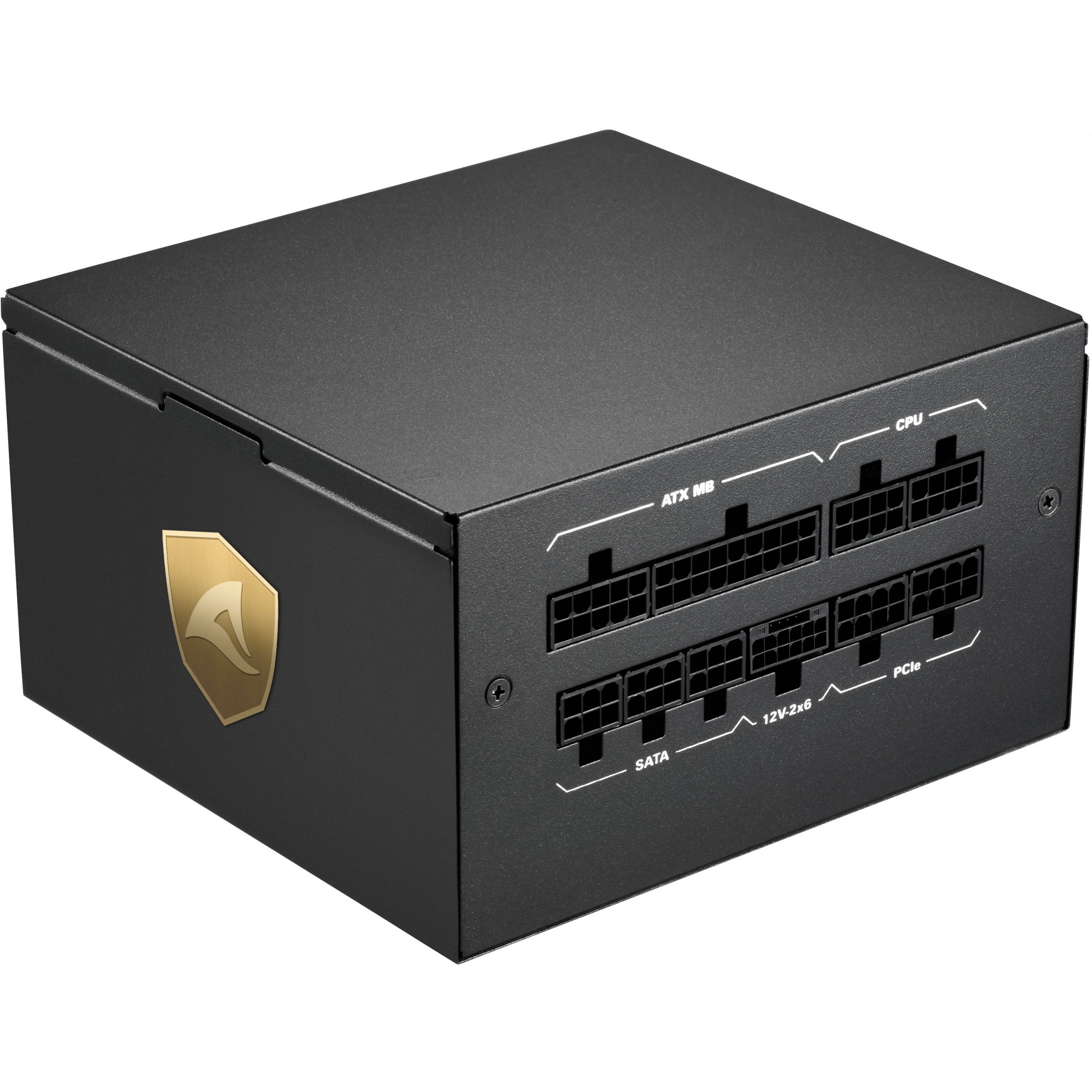 Napajanje SHARKOON Rebel P20 ATX 1000W Modular crno-5