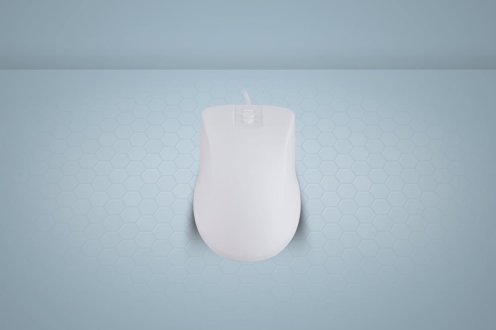 Miš CONTOUR DESIGN Active Key AK-PMH12 (medicinski, obostrani, 1000 DPI)-2