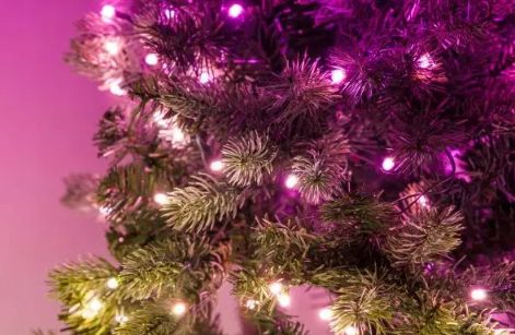 Dekoracija → TWINKLY → Pre-lit Tree - 1.50m (270 RGB LED, zeleni kabel, tip utikača C)-4