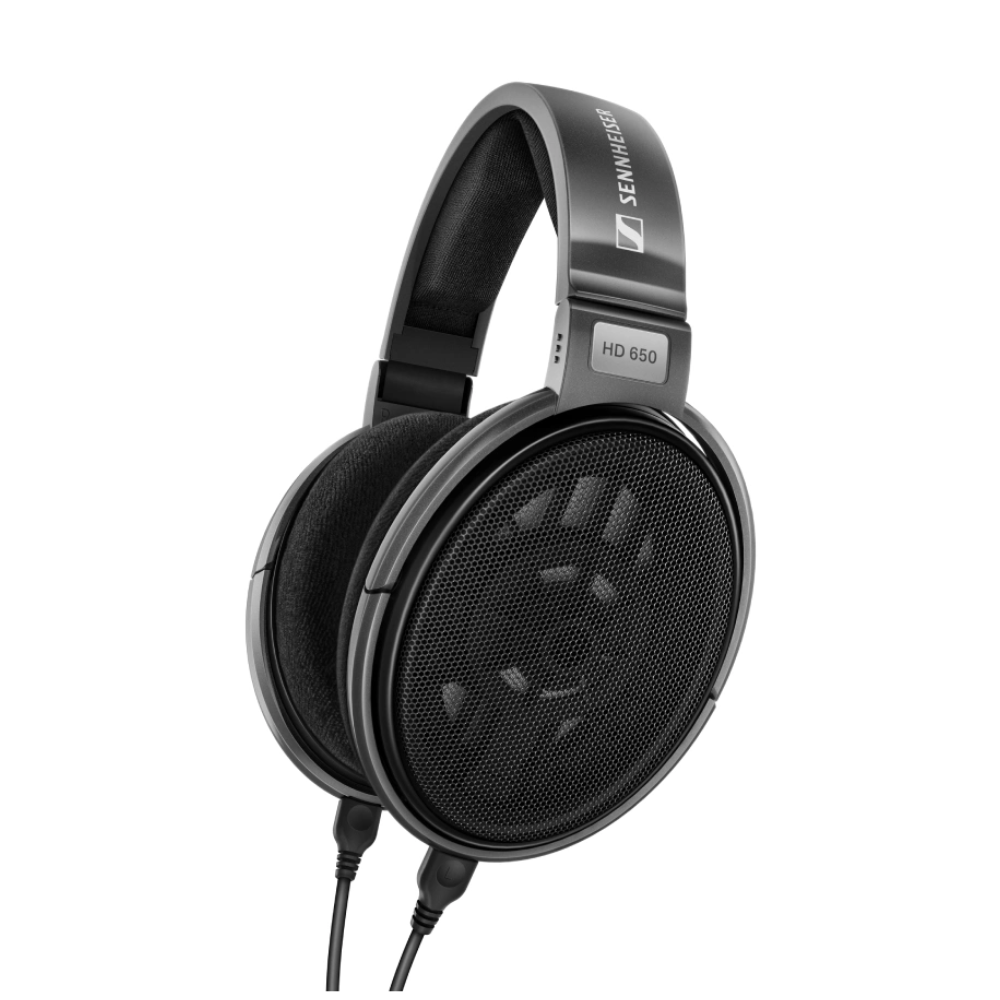Slušalice SENNHEISER HD 650 Over-Ear Titan (žične)-0