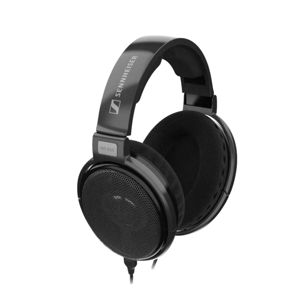 Slušalice SENNHEISER HD 650 Over-Ear Titan (žične)-1