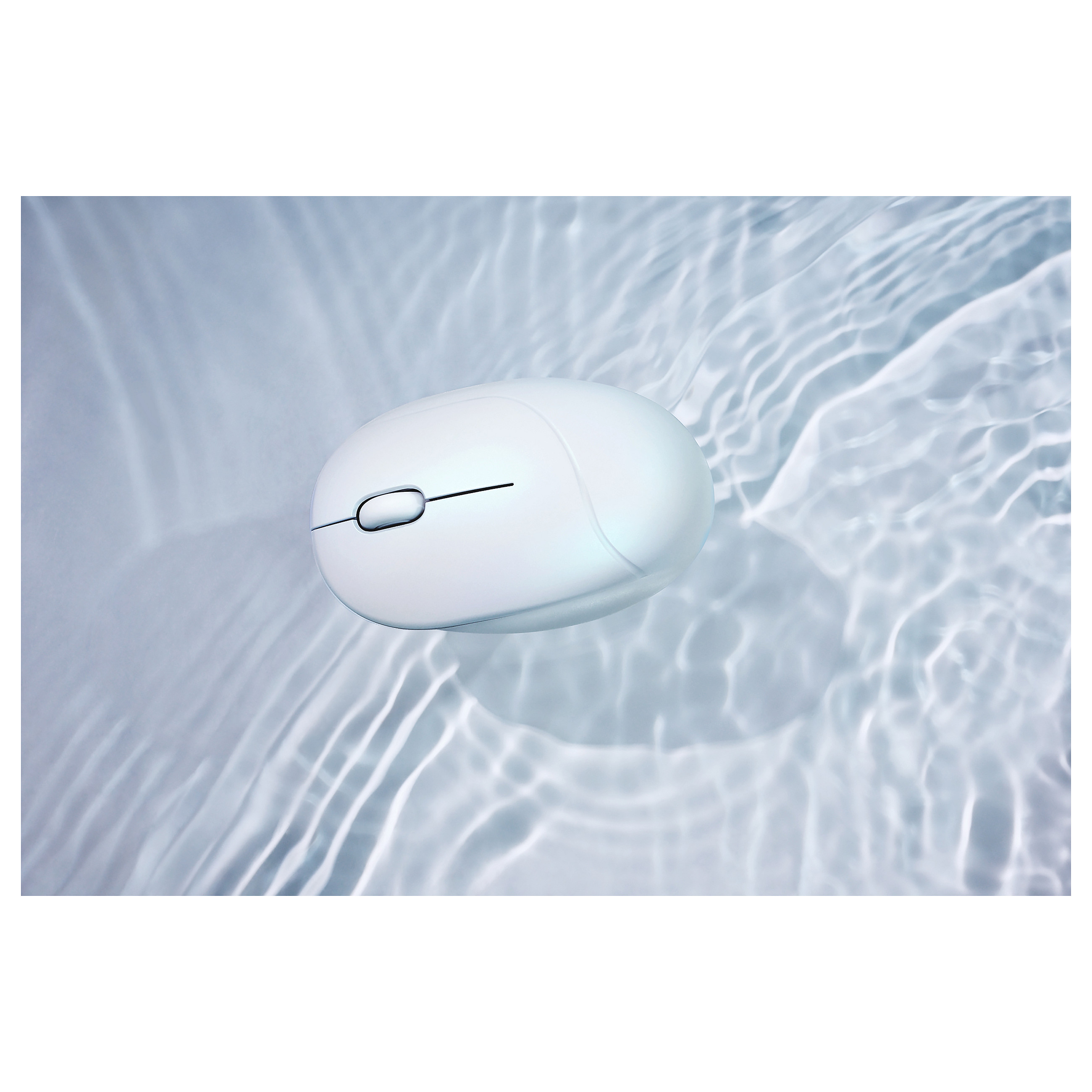 Maus ASUS MD101 MOUSE/PK-7