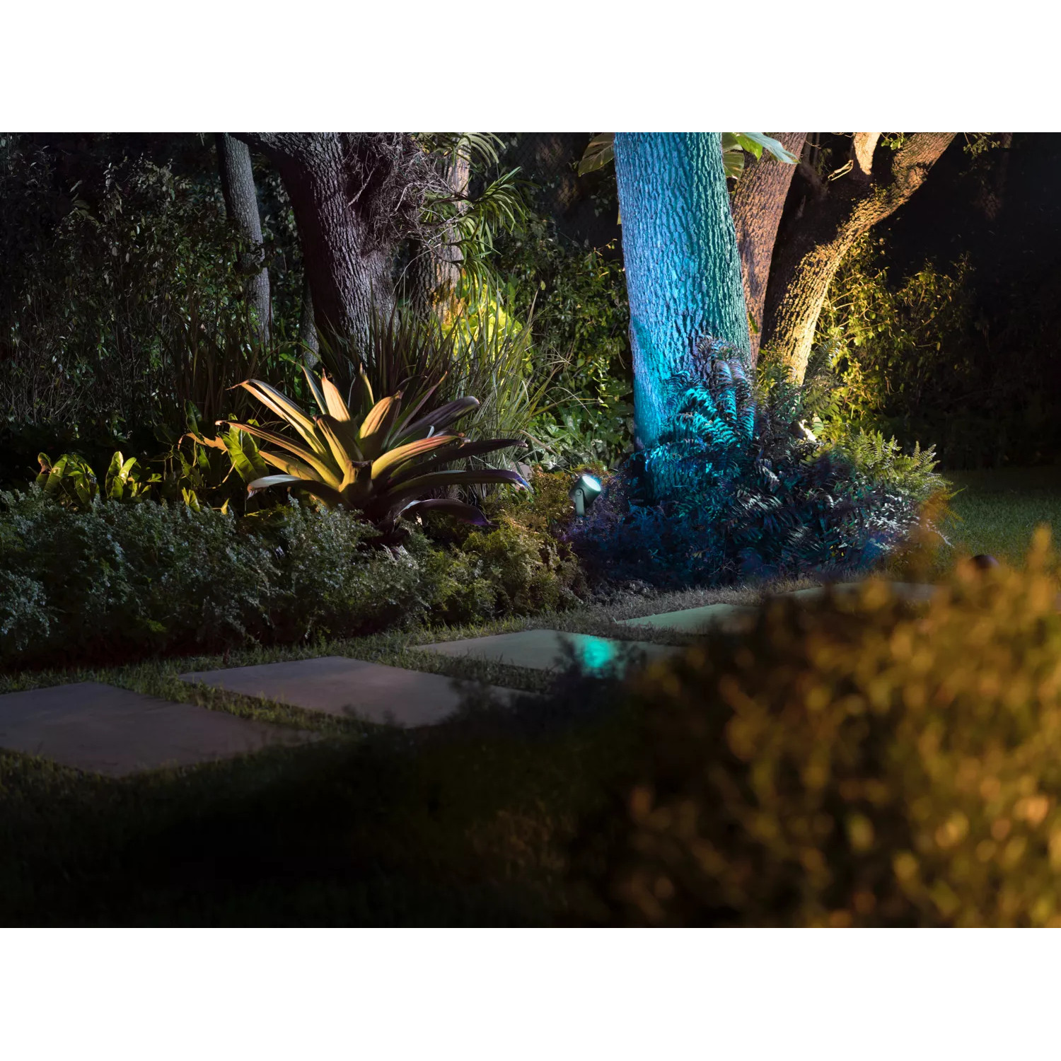 Vanjska pametna reflektorska svjetiljka PHILIPS Hue White and Color Ambiance Lily XL Extension, crna-1