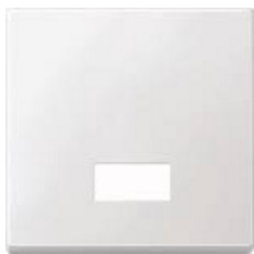 Prekidač MERTEN 433819 Wippe za Schalter. Symbolfenster pws SYSTEM M-0