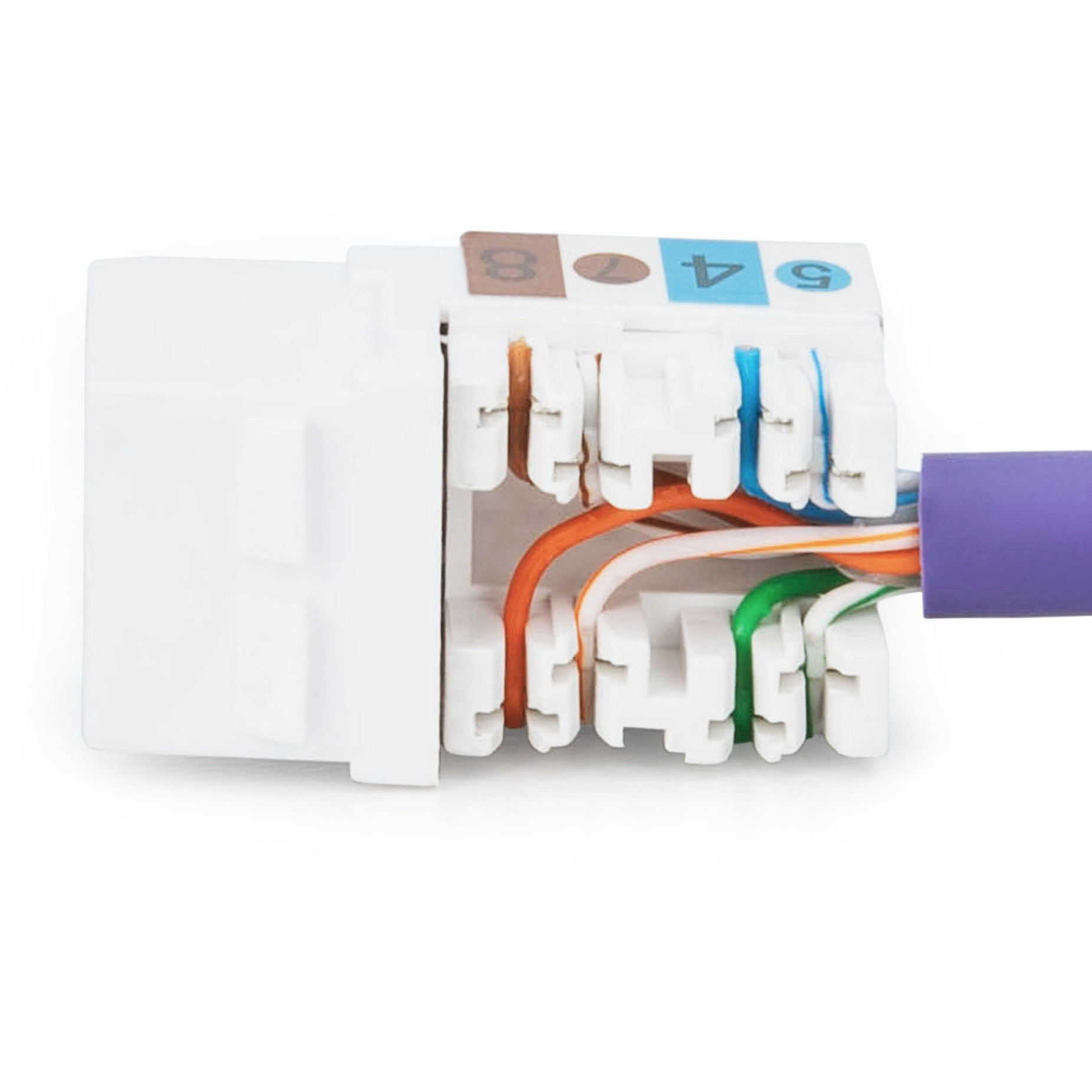 Jack DIGITUS Cat6. RJ45 -> LSA-1