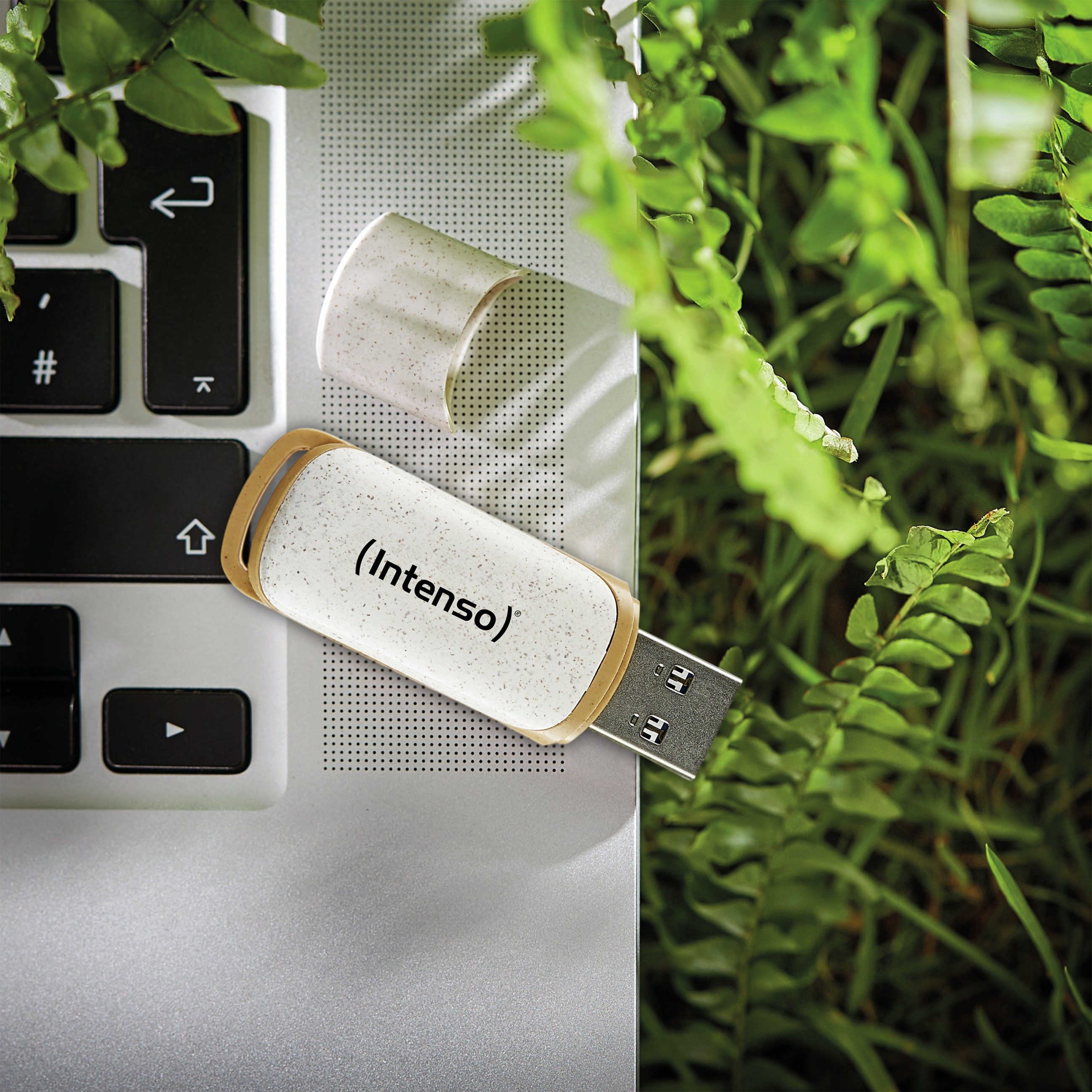 USB Stick INTENSO STICK Green Line 128 GB (beige/braun, USB-A 3.2 Gen 1)-4