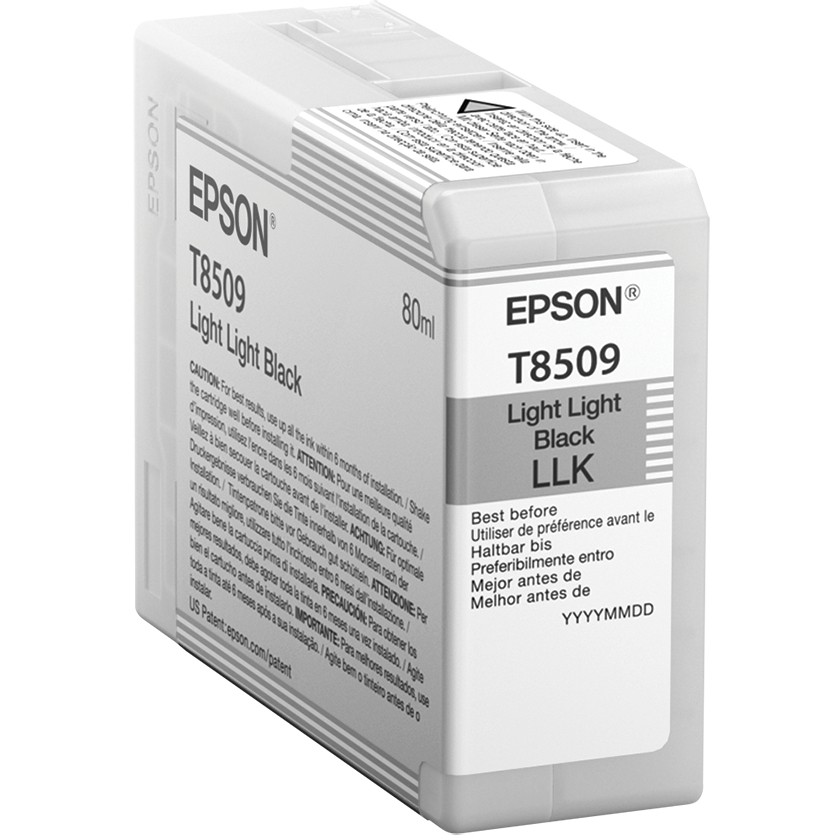 Toner EPSON C13T850900 light black