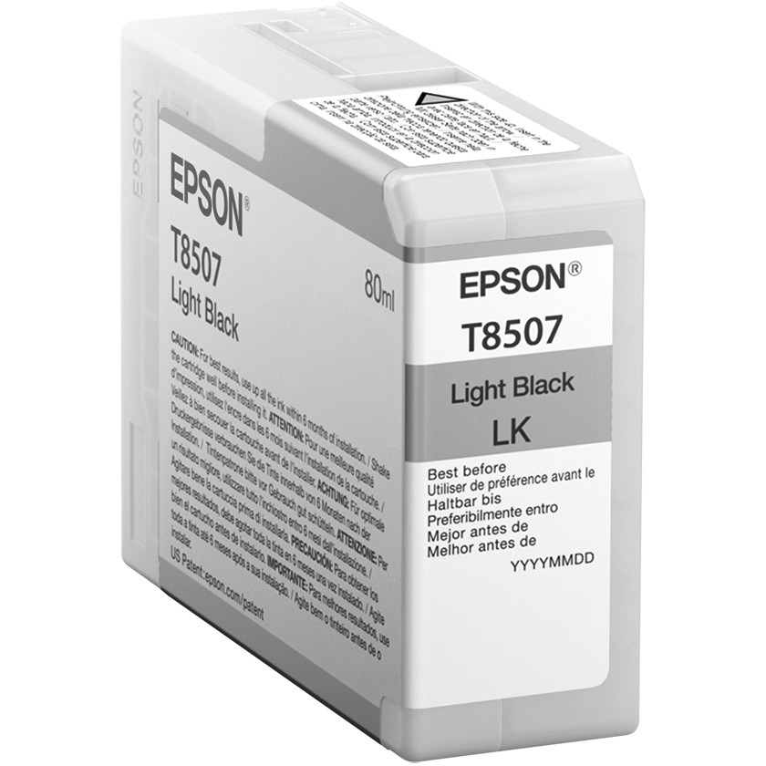 Toner EPSON C13T850700 light black