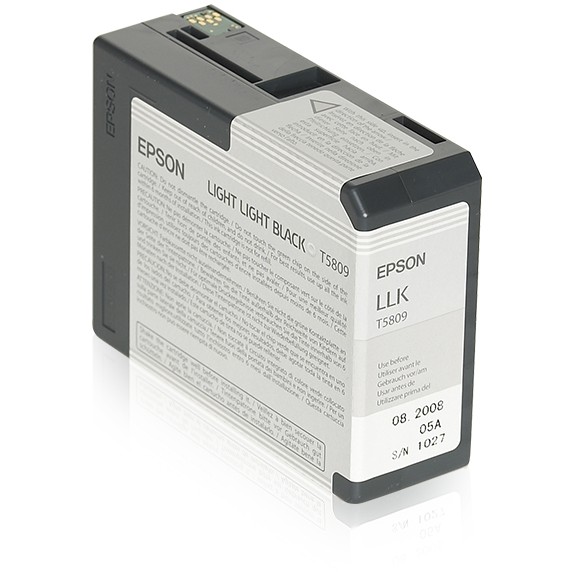 Toner EPSON C13T580900 light black