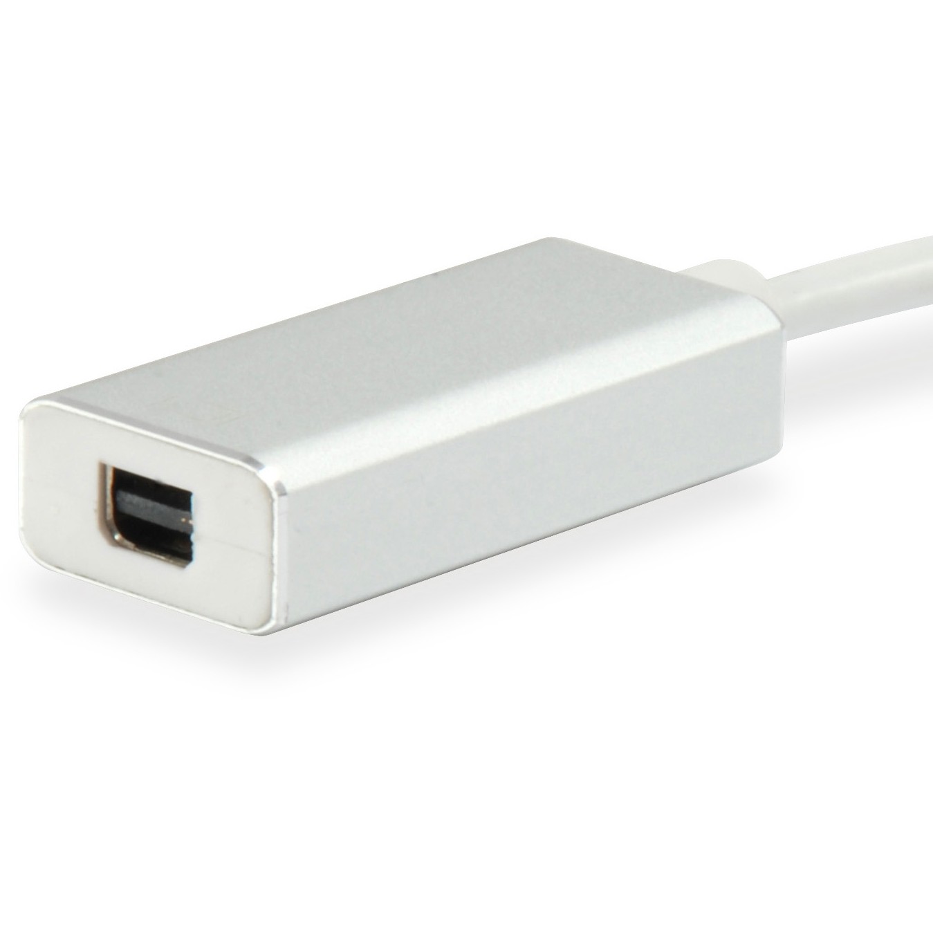 Adapter EQUIP USB-C -> MiniDisplayPort 4K60Hz 0.15m-2