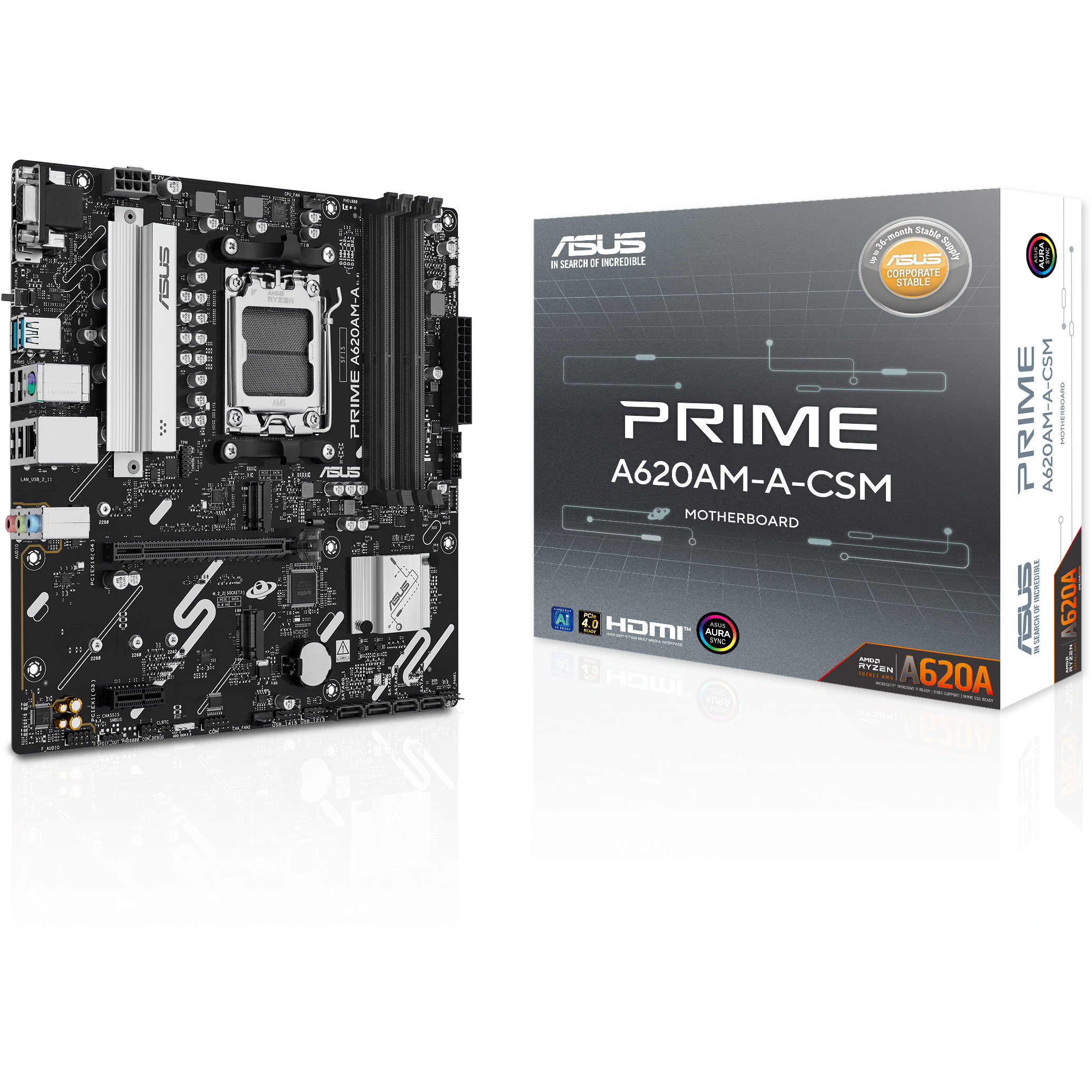 MBO ASUS PRIME A620AM-A-CSM-6