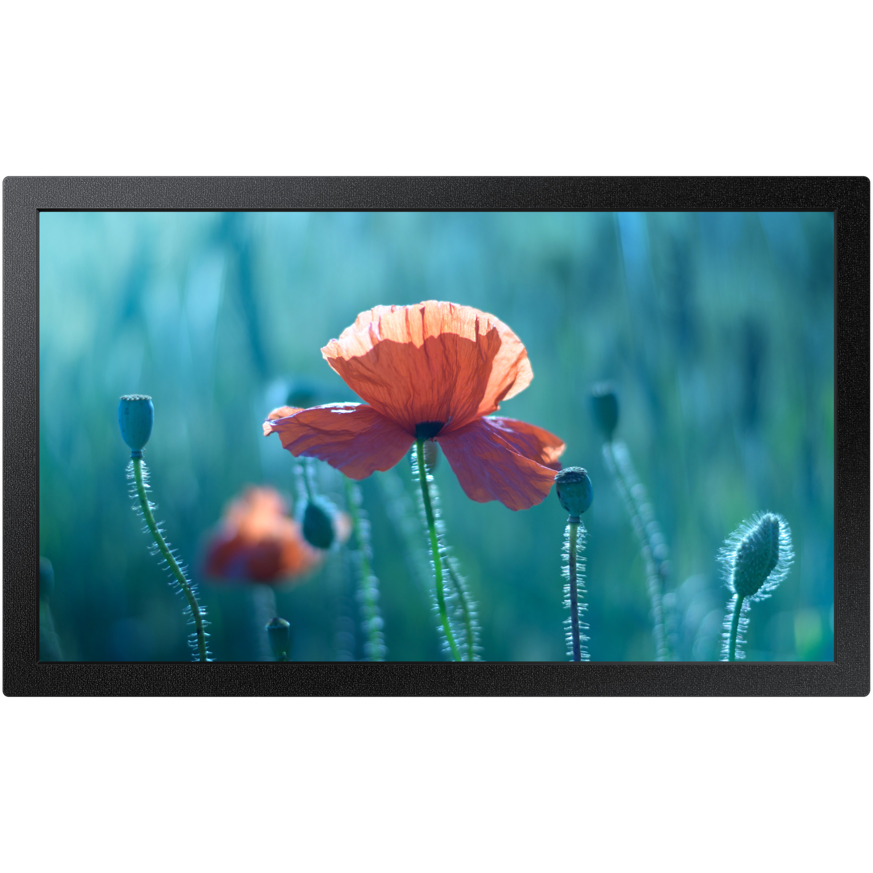 Monitor SAMSUNG Smart Signage QB13C 33,02cm(13")-0