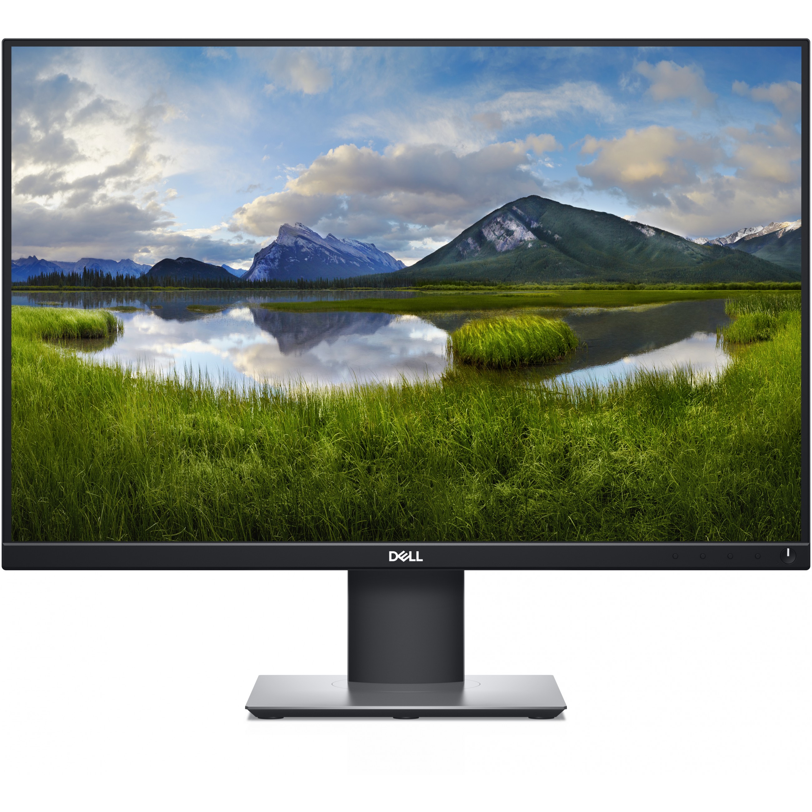 Monitor DELL P2421 24'' (1920x1200, 5ms, 1610, Pivot, DisplayPort, DVI, HDMI, VGA, USB-C)-12