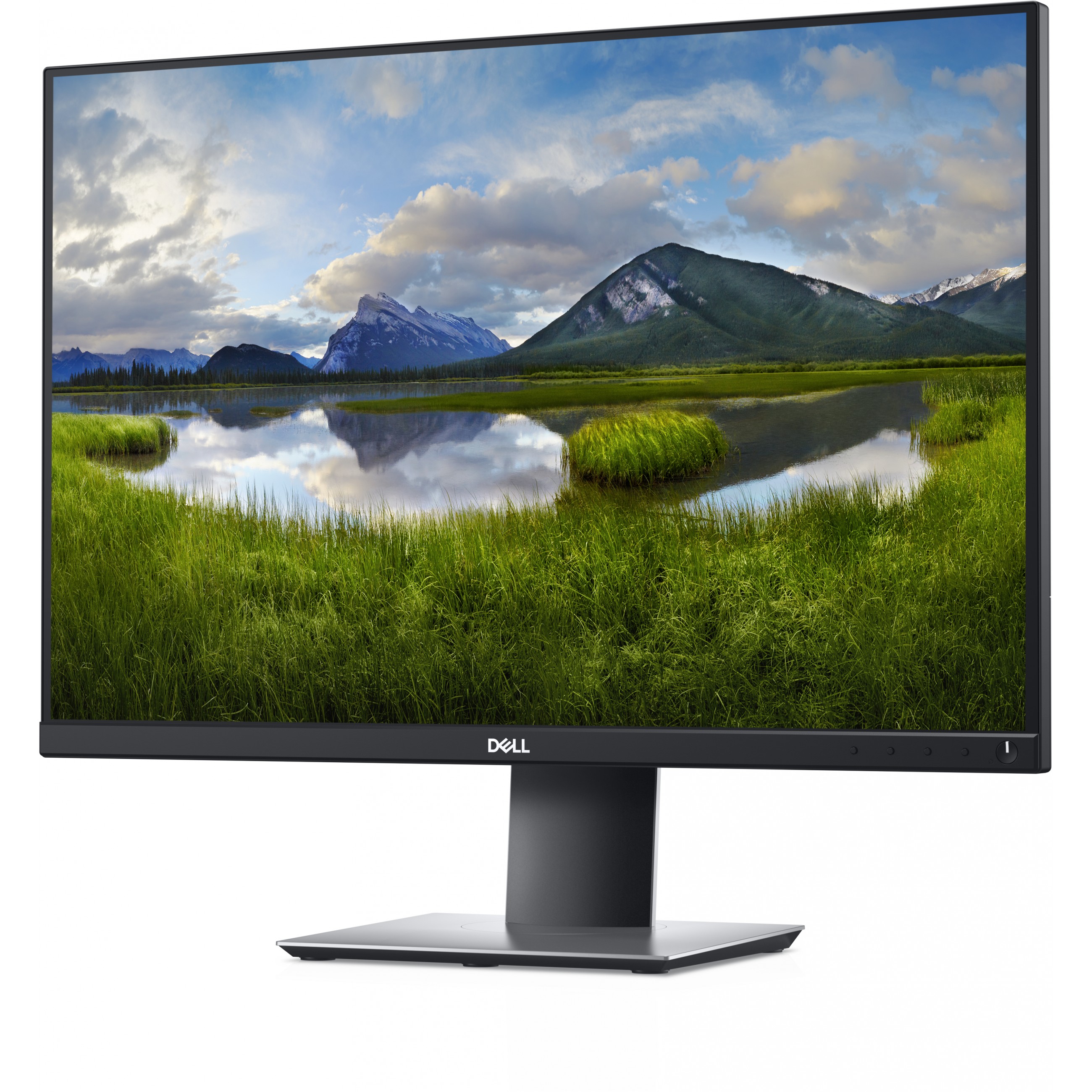Monitor DELL P2421 24'' (1920x1200, 5ms, 1610, Pivot, DisplayPort, DVI, HDMI, VGA, USB-C)-1