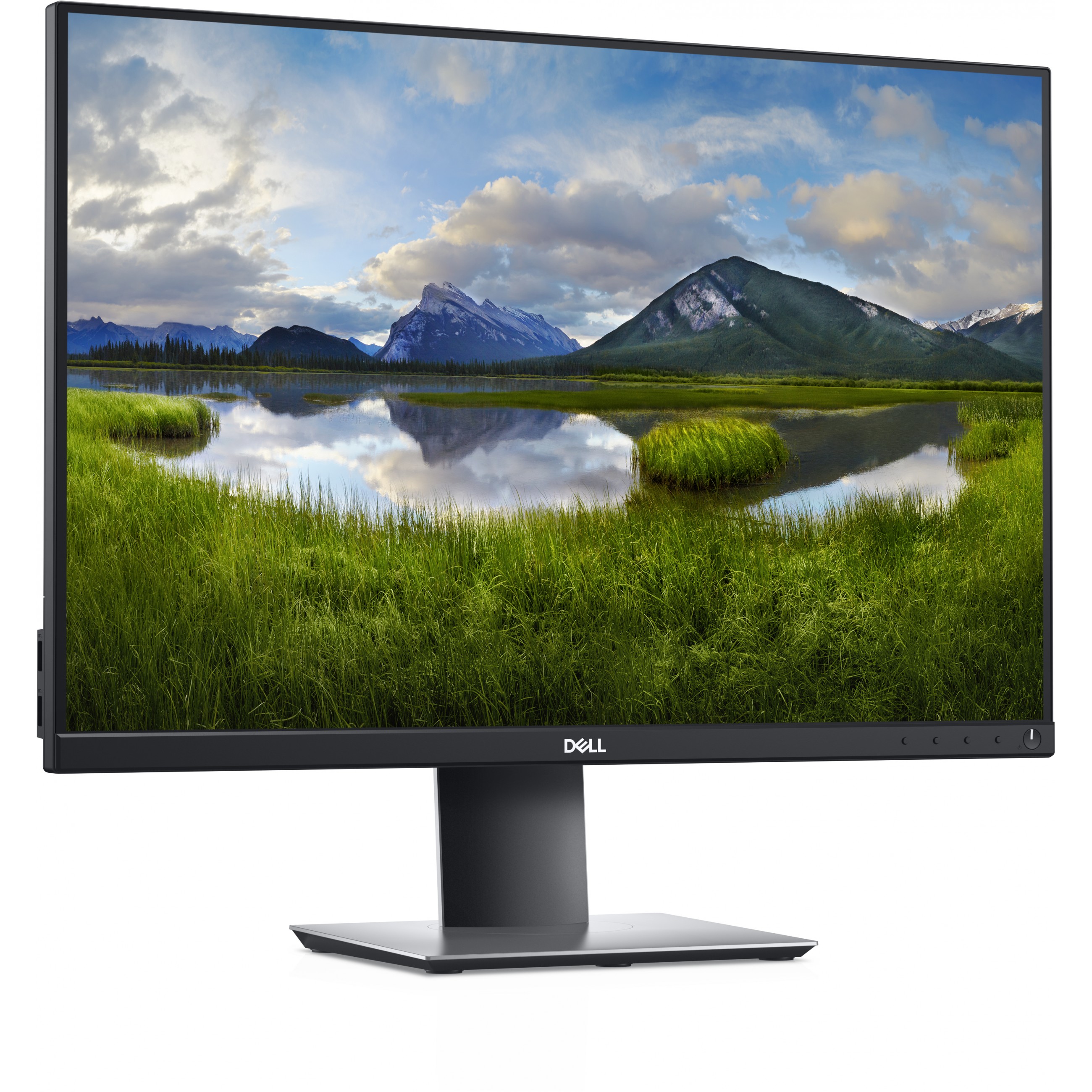 Monitor DELL P2421 24'' (1920x1200, 5ms, 1610, Pivot, DisplayPort, DVI, HDMI, VGA, USB-C)-4