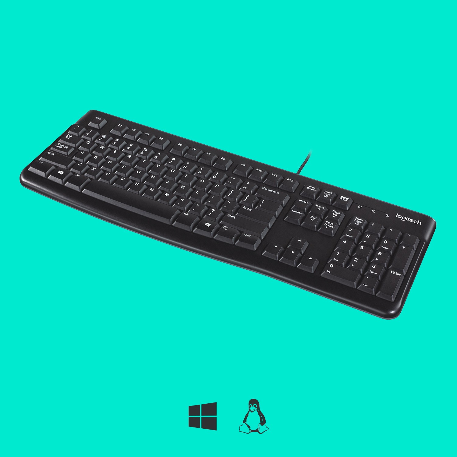 Tipkovnica LOGITECH K120 – internacionalna non HR tipkovnica-4