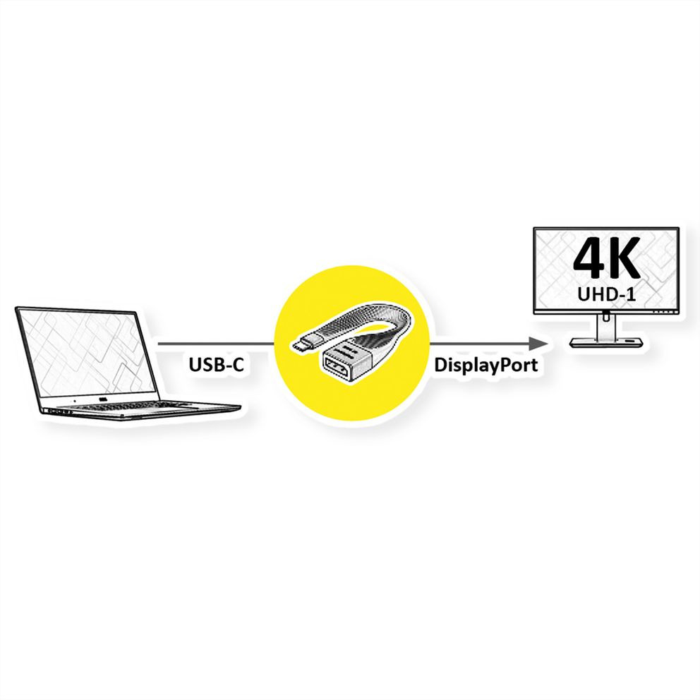 Adapter ROLINE DISPLAY ADAPTER.FLEX..TYPC-DP-3