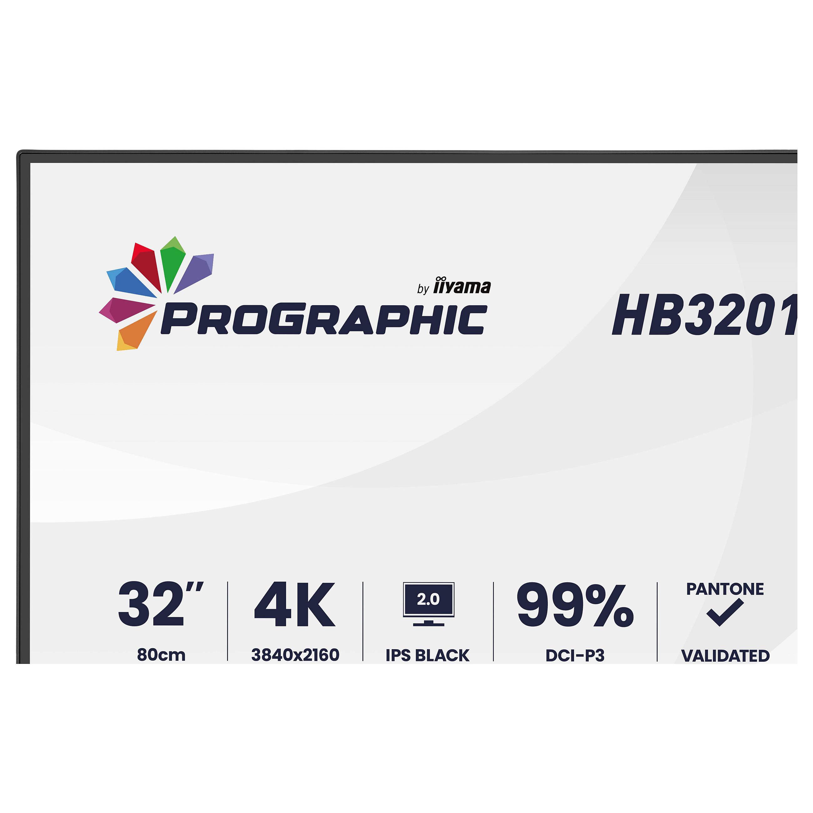 Monitor IIYAMA ProGraphic HB3201UHSNP-B1 80,0 cm/31,5" (3840x2160) IPS 4 ms 60 Hz USB-C HDMI DP RJ45 KVM VESA Crna-2