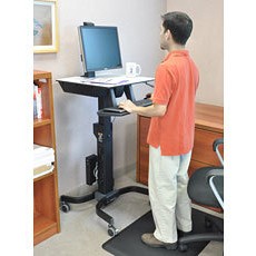 Ergotron WorkFit-C Single HD-2
