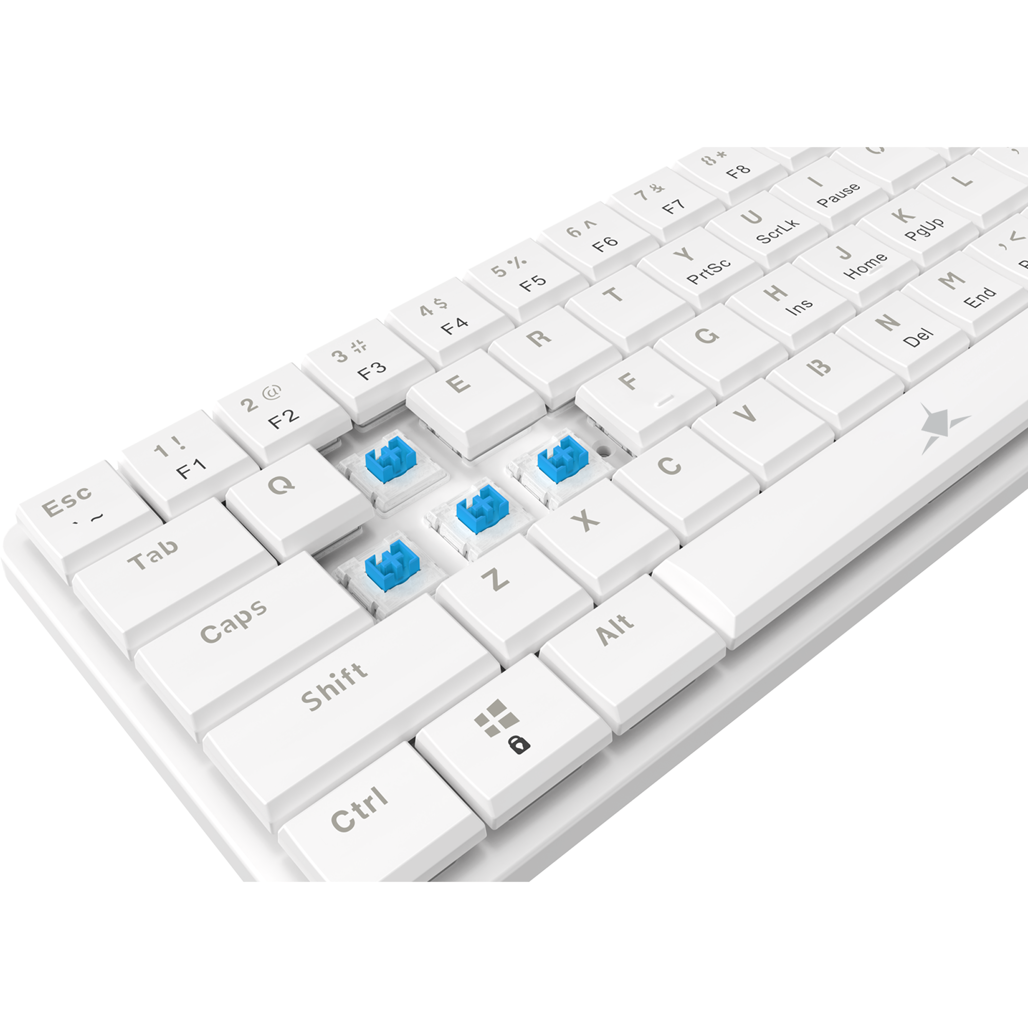 White Shark KEYBOARD GK-006221 NAGAMAKI White-Mechanical / US-BLUE.SW-15