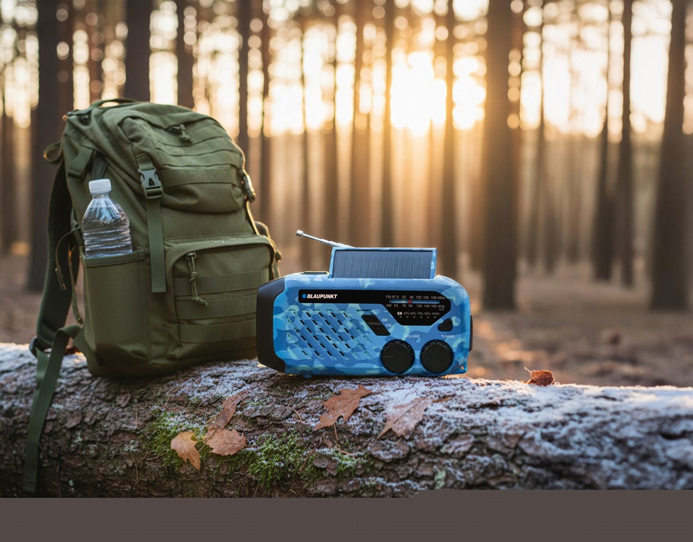 Radio BLAUPUNKT ER10BC (blue camo)-5