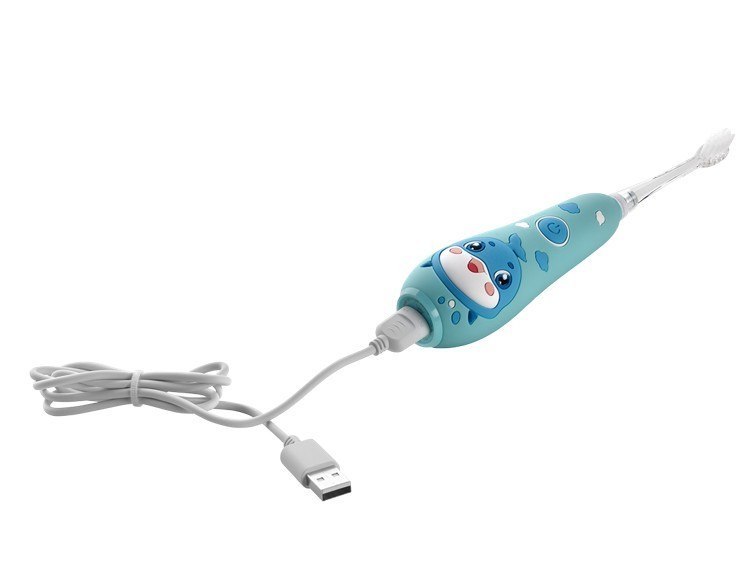 Sonična četkica za zube CONCEPT ZK3020 (plava)-12