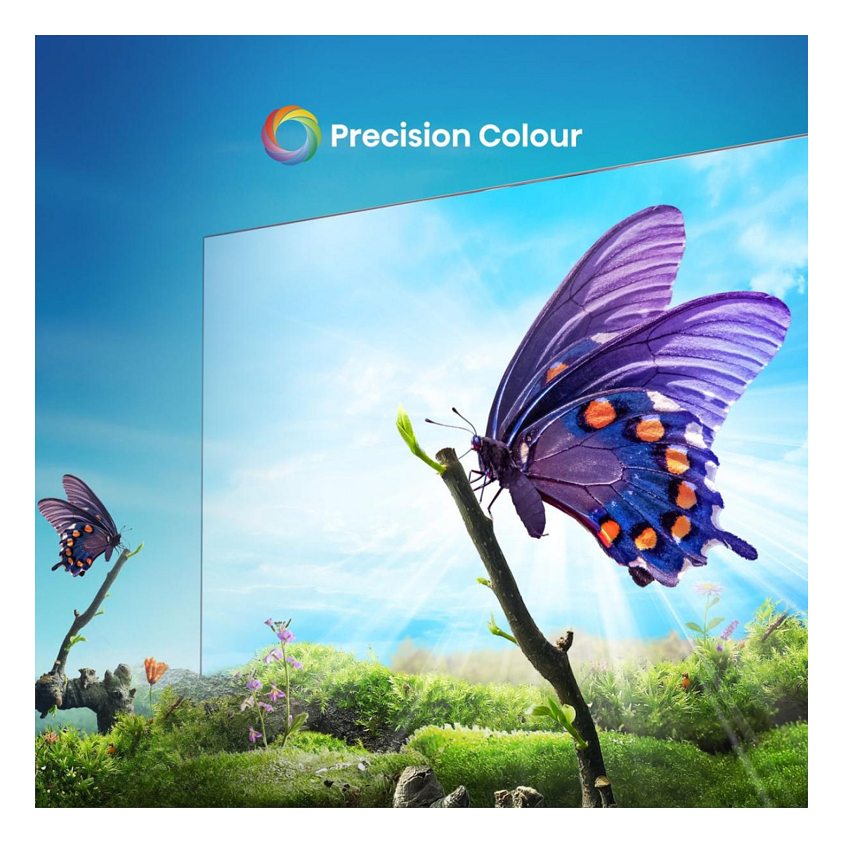 TV HISENSE D-LED 85E6NT VIDAA (215 cm, 4K UHD, HDR10+, Dolby Audio, Smart TV)-14