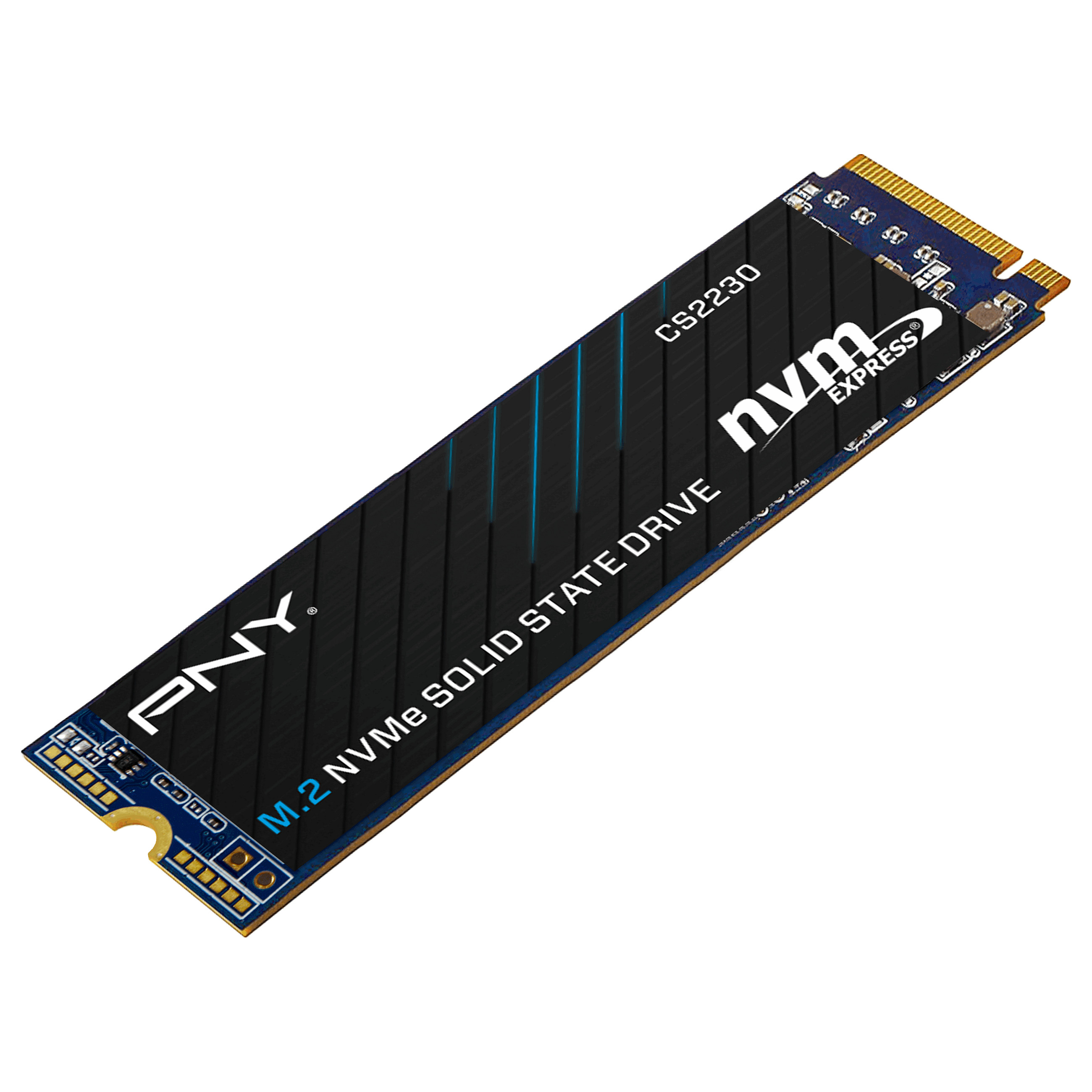 SSD disk PNY CS2230 (m.2 nvme, 500gb)-1