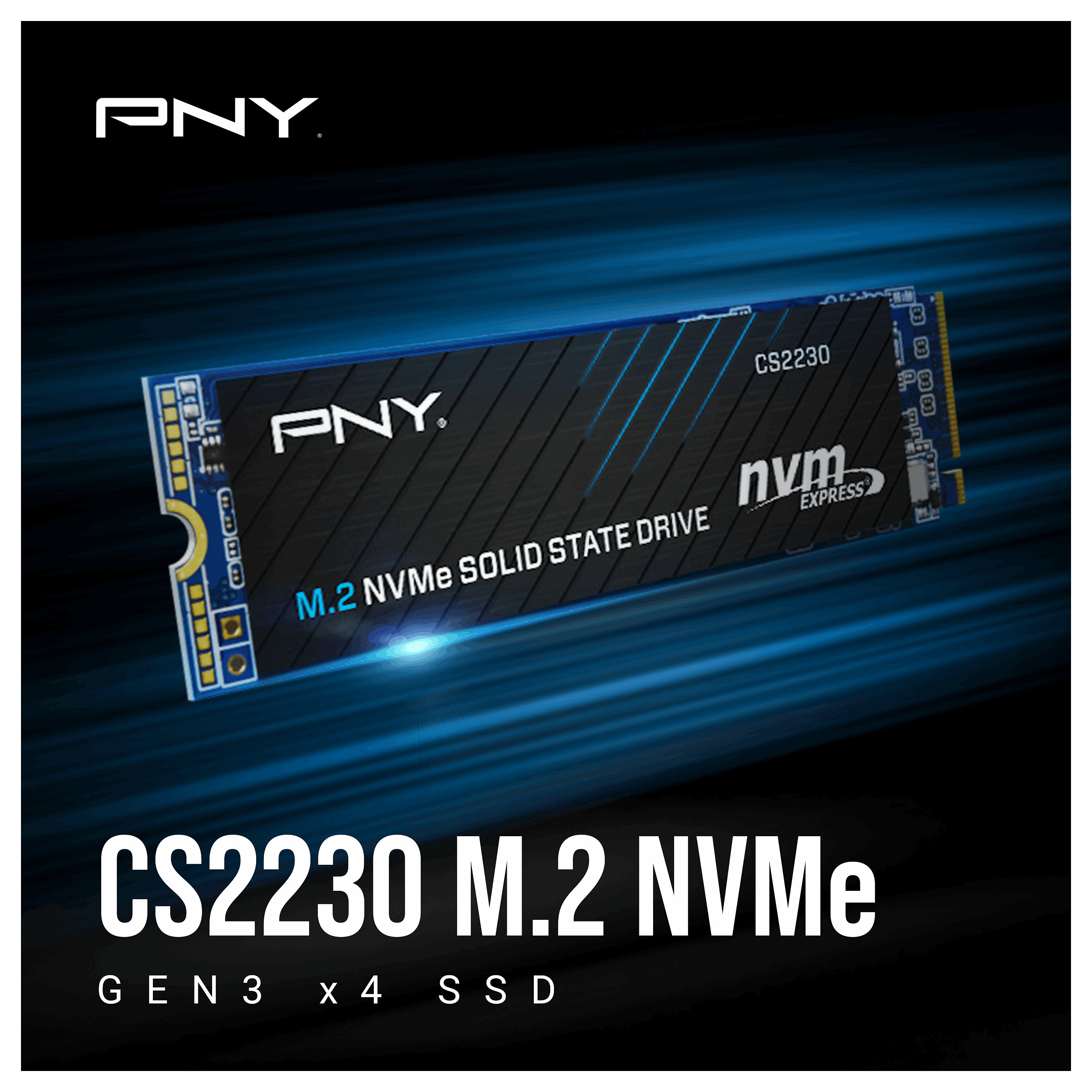 SSD disk PNY CS2230 (m.2 nvme, 500gb)-2