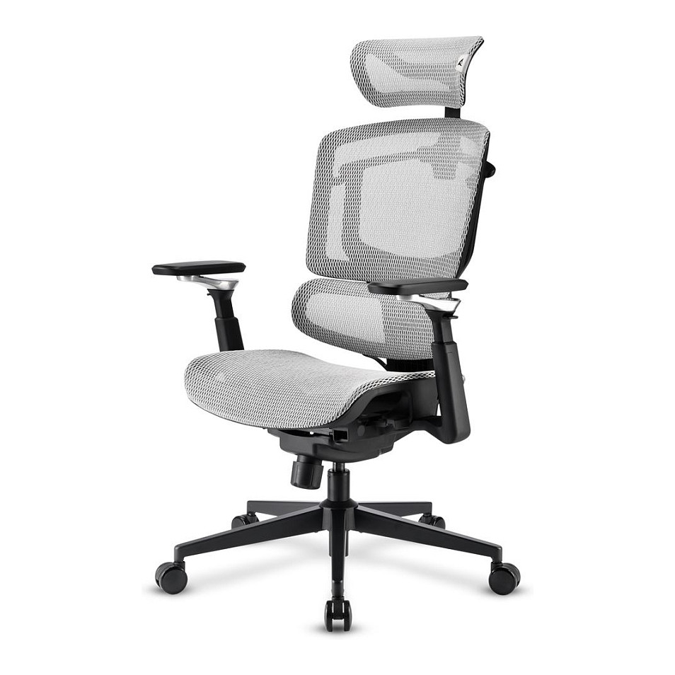 Uredska stolica SHARKOON OfficePal C50M (siva)