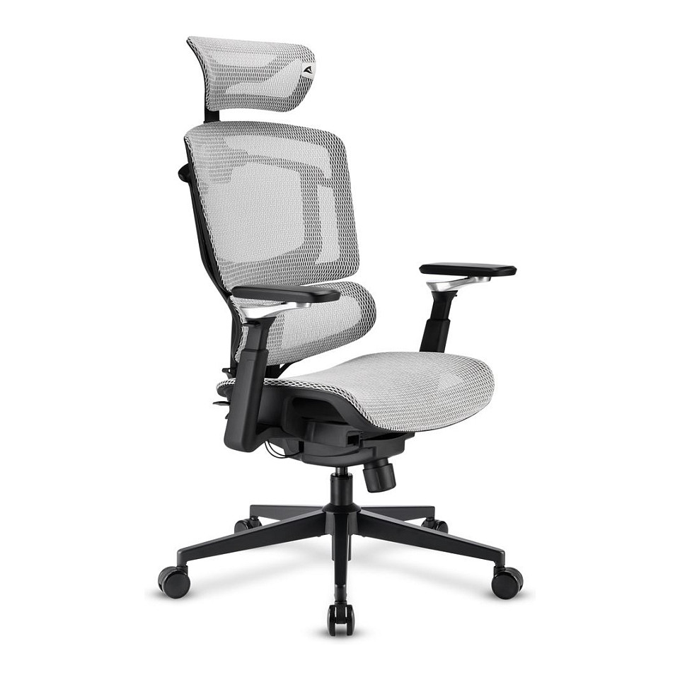Uredska stolica SHARKOON OfficePal C50M (siva)-1