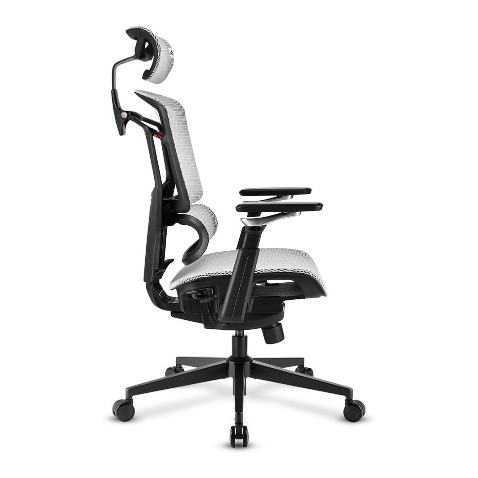 Uredska stolica SHARKOON OfficePal C50M (siva)-2