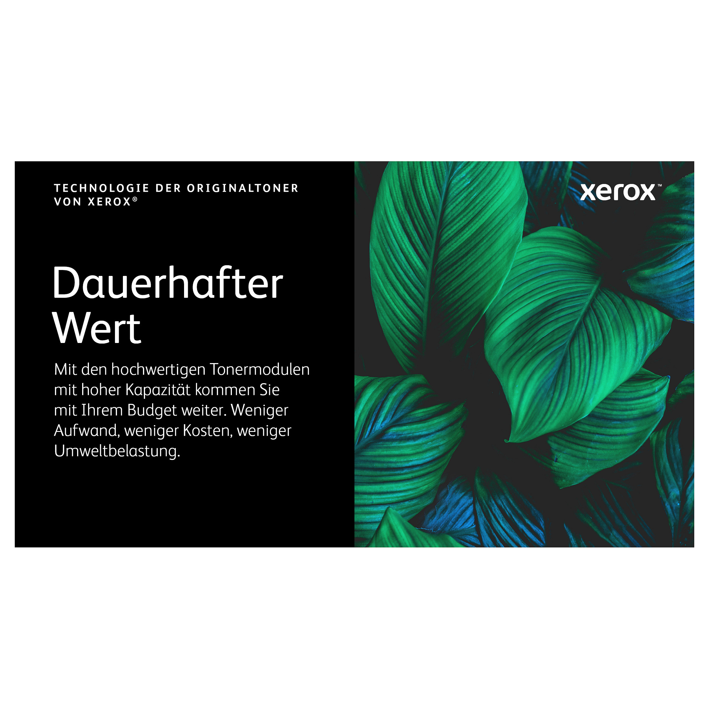 Toner XEROX 006R04364 (Crni, 8000 stranica)